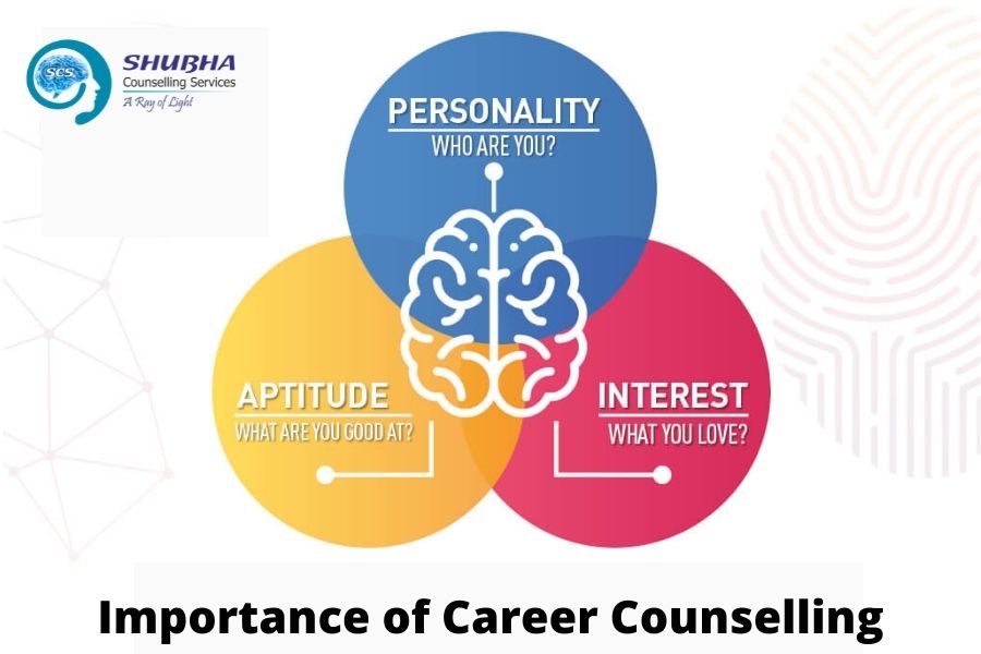 write a paper on the concept of career counselling